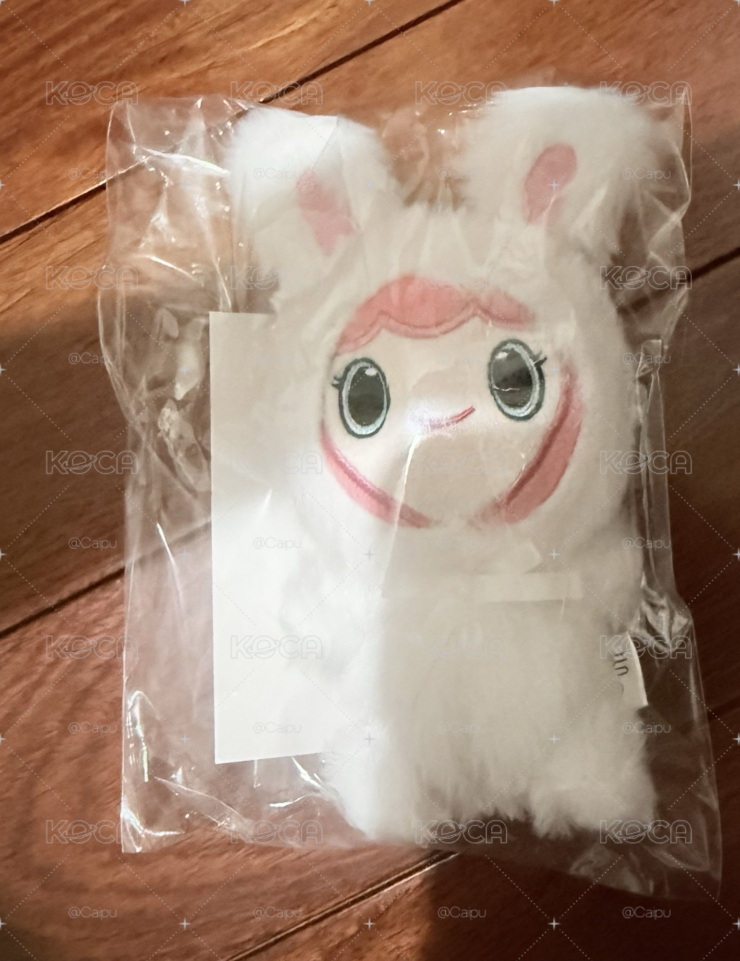 桃 現貨