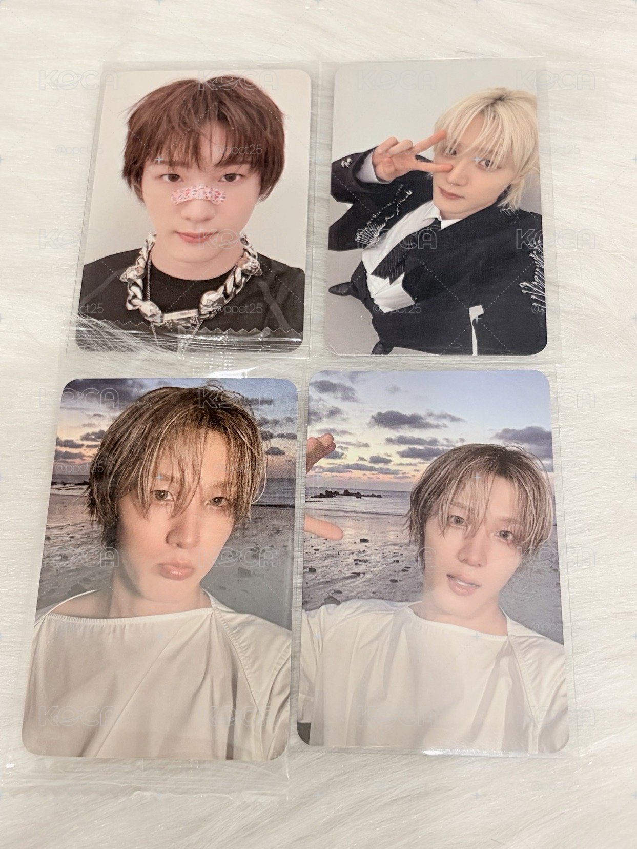 白翔太 小卡