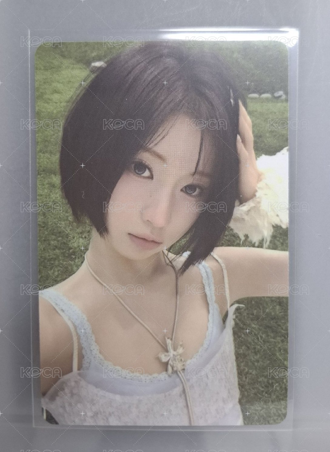sdl卡冊卡