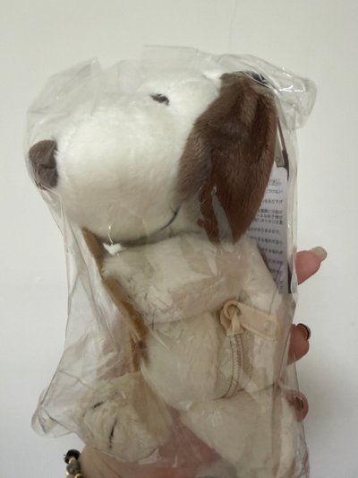 snoopy & teddy bear系列 絨毛玩偶提袋