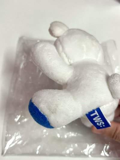 TWS｜吐熊*二手