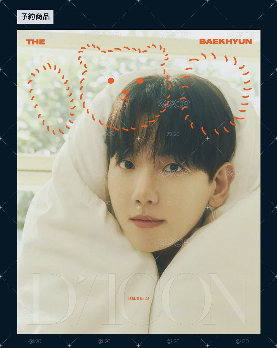 伯賢 Dicon 雜誌全新皆附特典