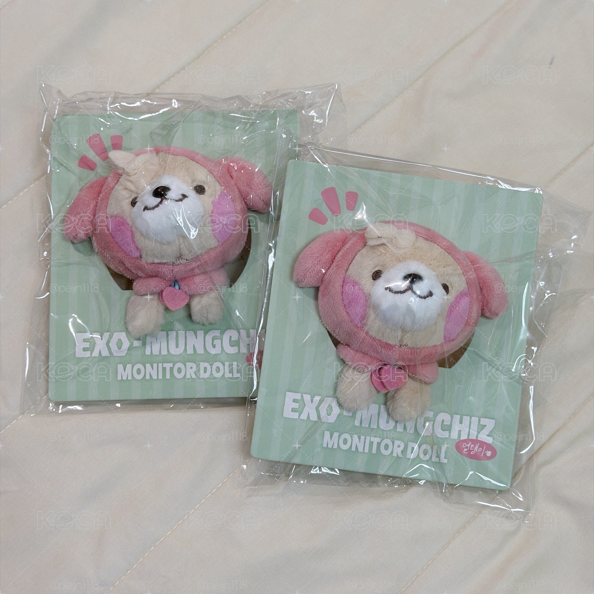 WE ARE DOLL 螢幕娃 CHANYEOL