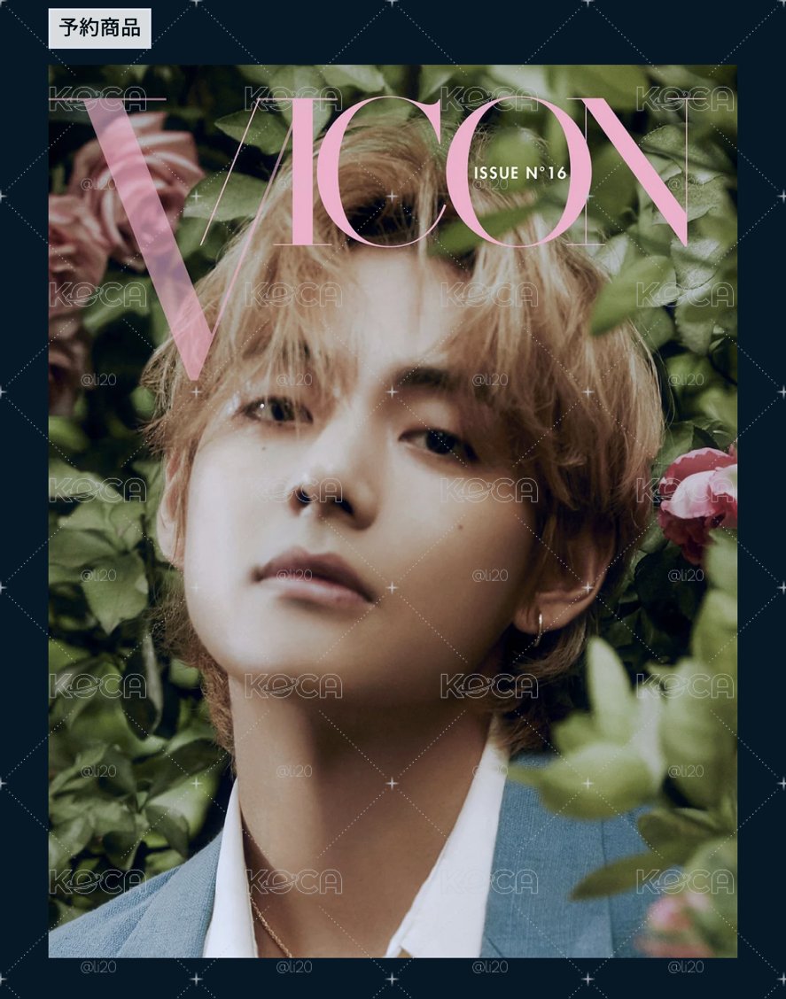 Dicon V雜誌未拆附特典