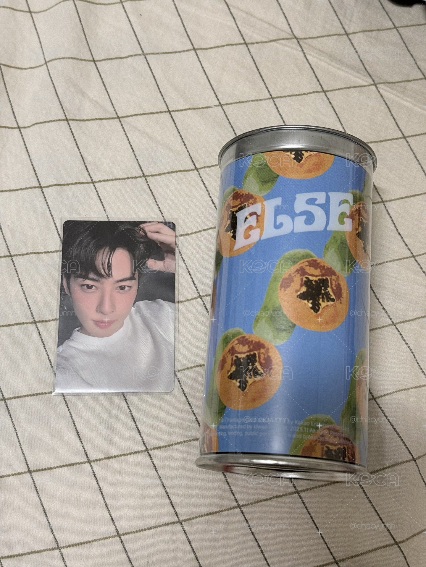 小狗耳全專