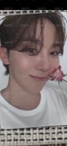 花花寛ㄦ
