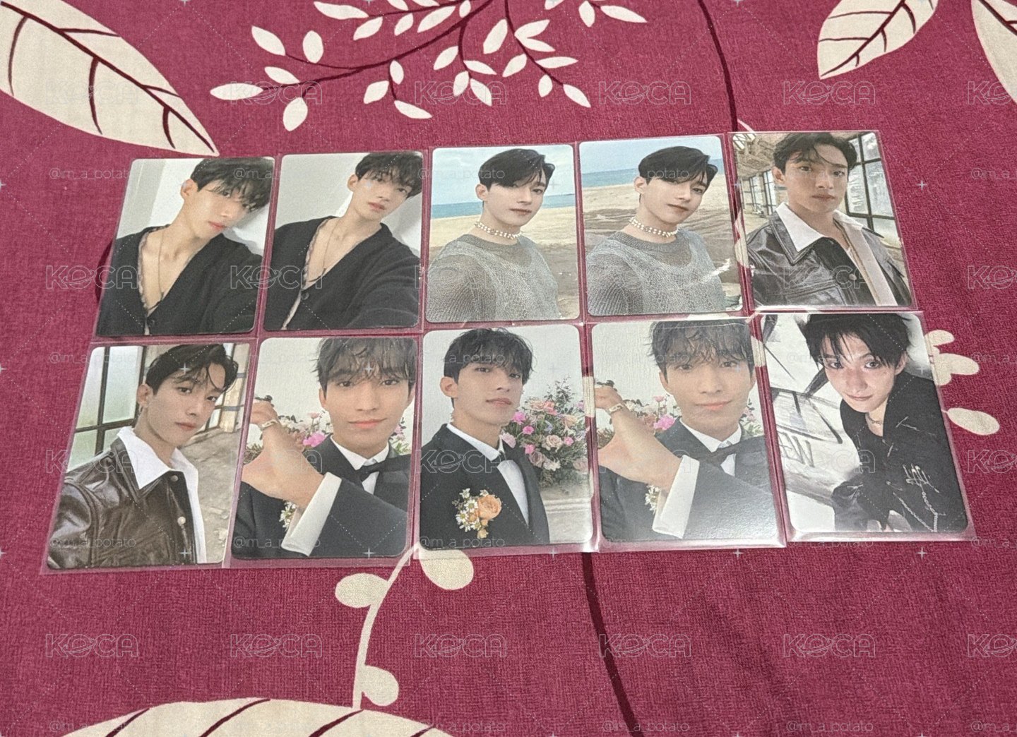 DK Attacca 小盤
