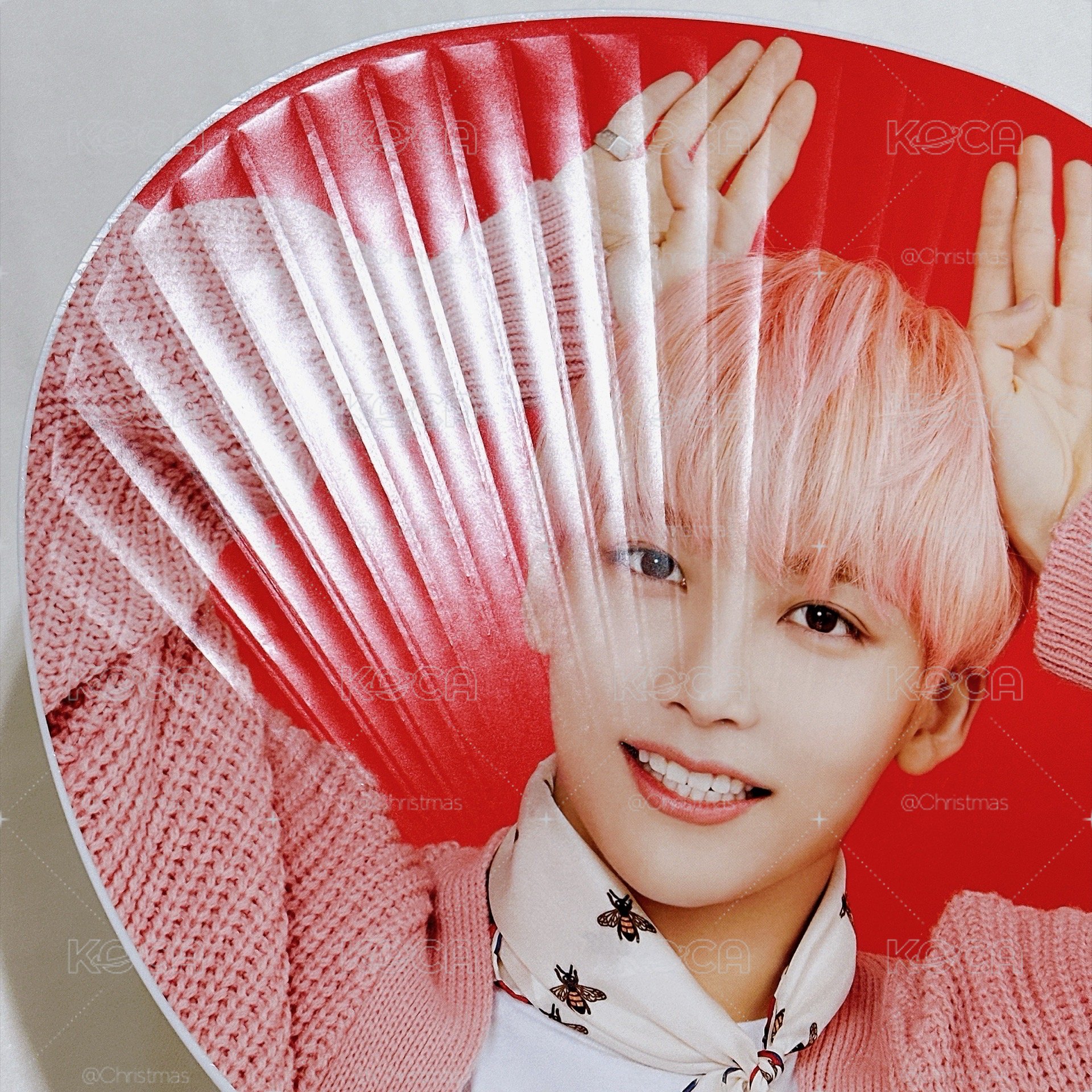 【淨漢】Carat Camp大扇