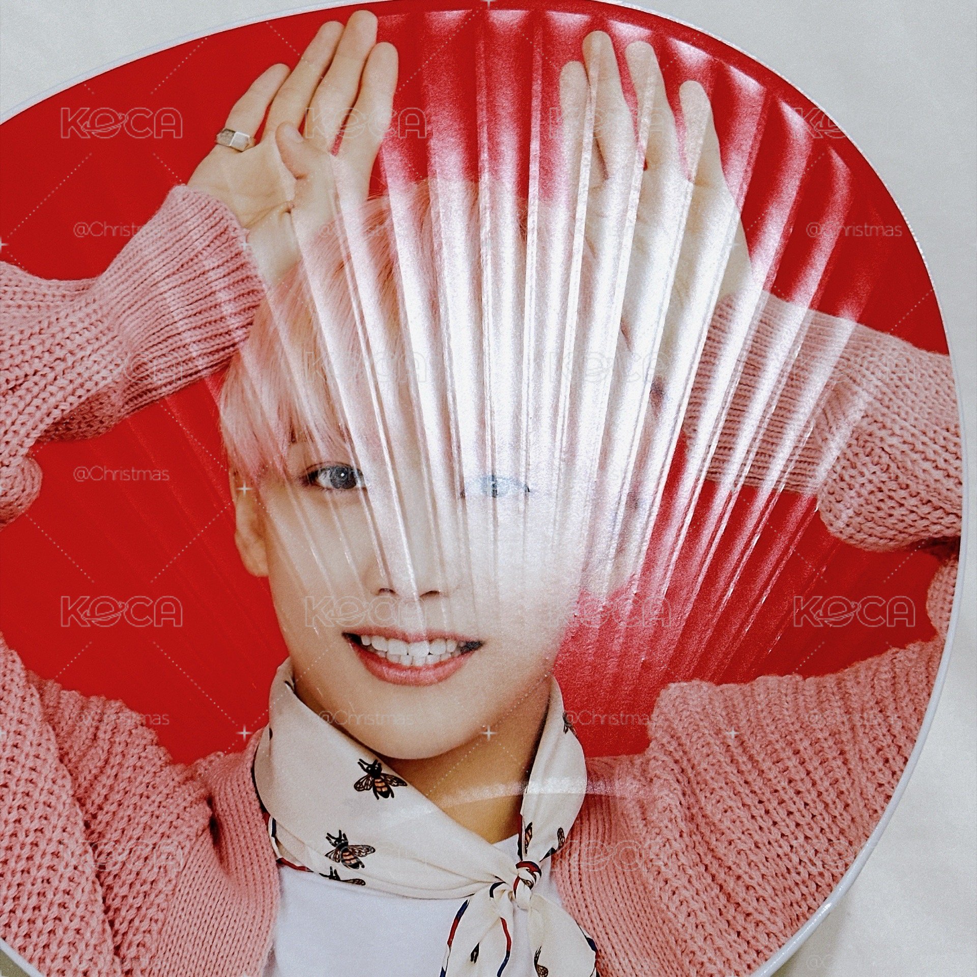 【淨漢】Carat Camp大扇