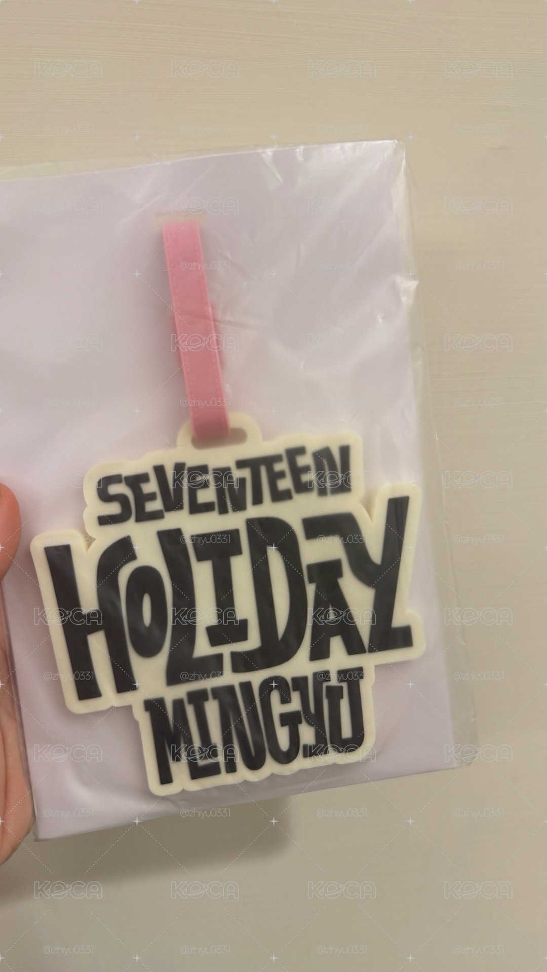 holiday 奎行李吊牌