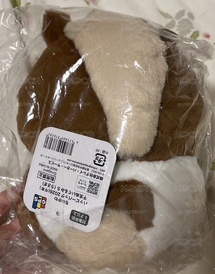 馬年S娃 烏薩奇
