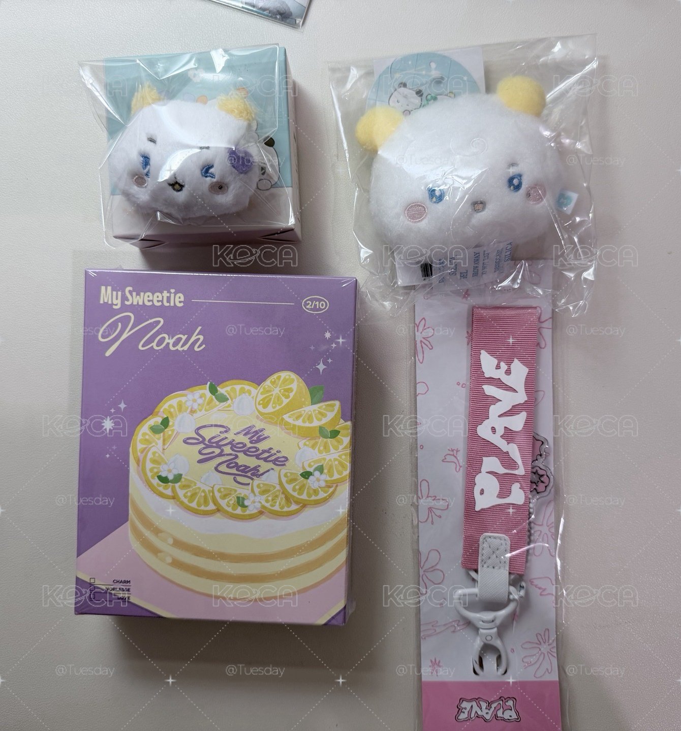 諾亞盤 粉飄帶 生日禮 MMMM