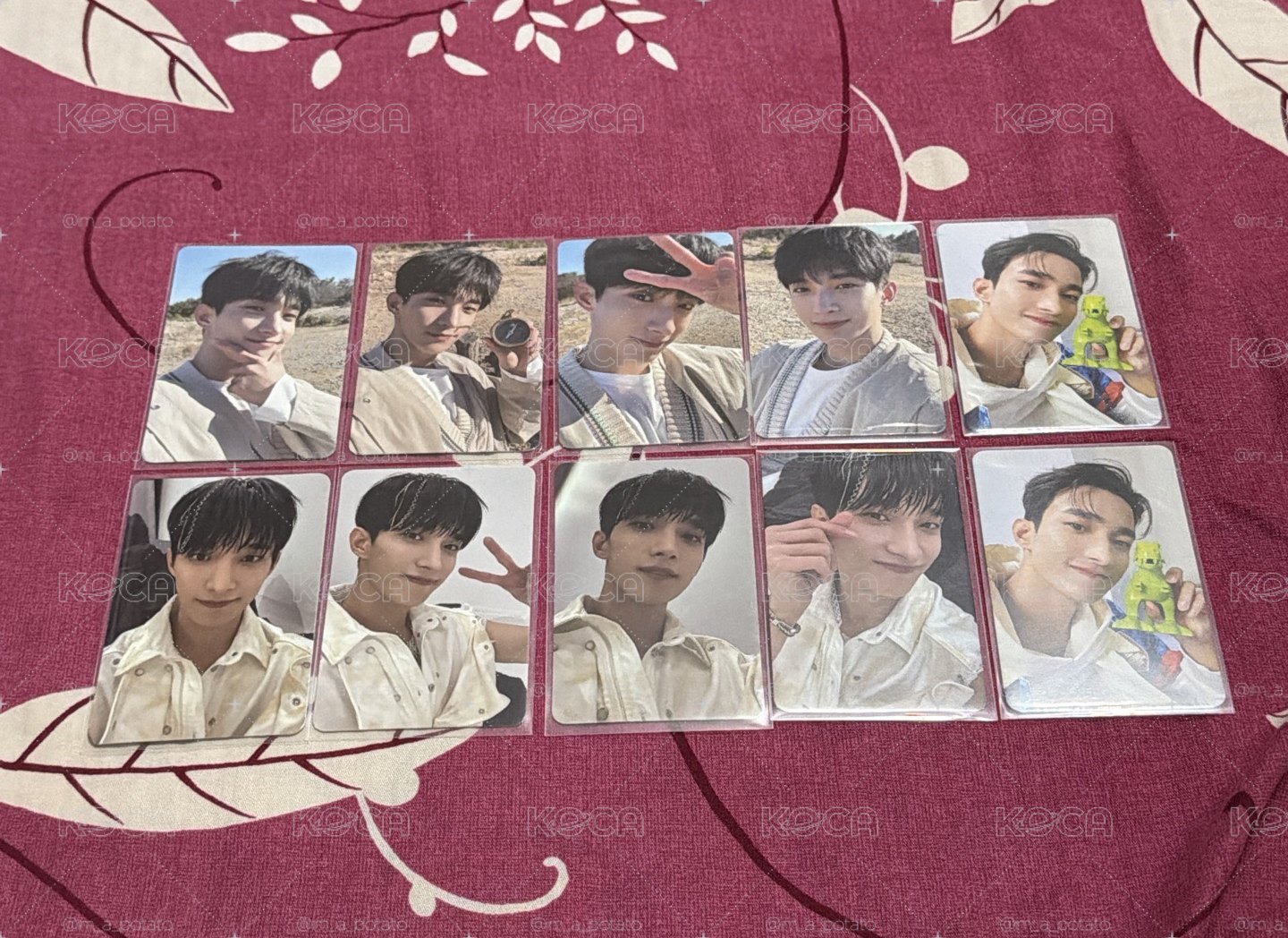 DK Face the sun 小盤