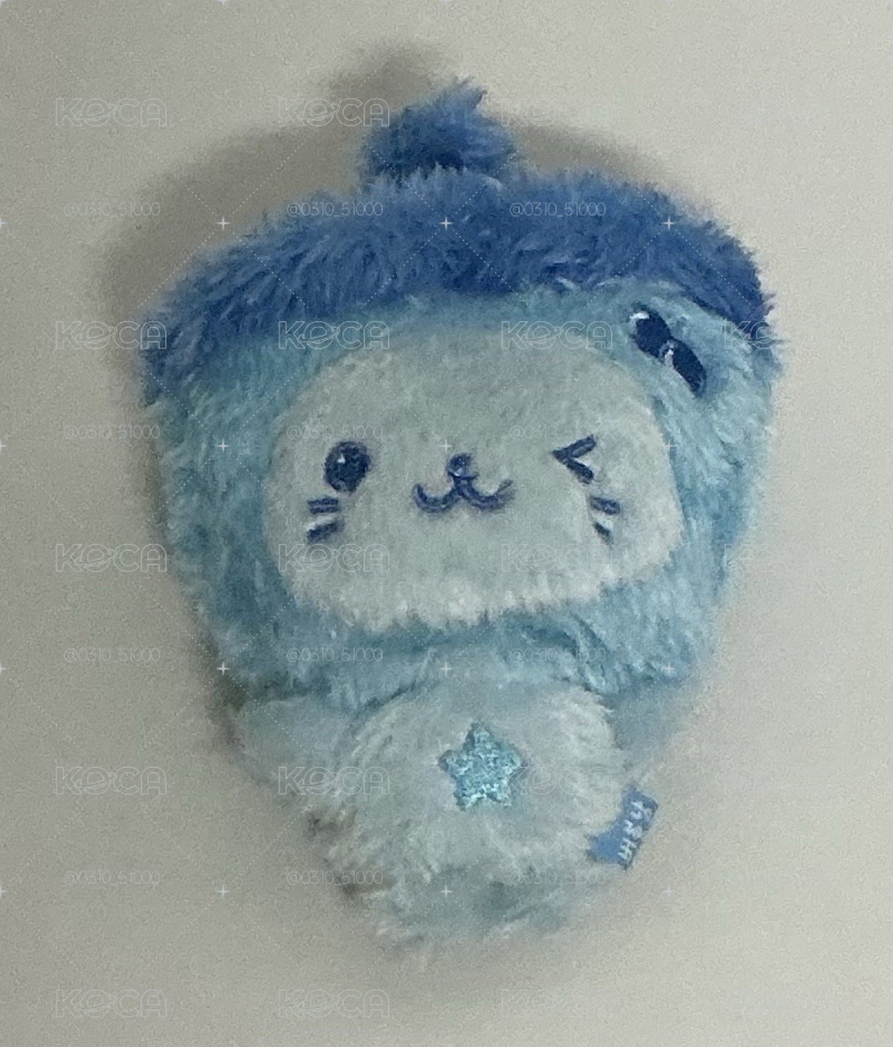 藍色奶茶貓