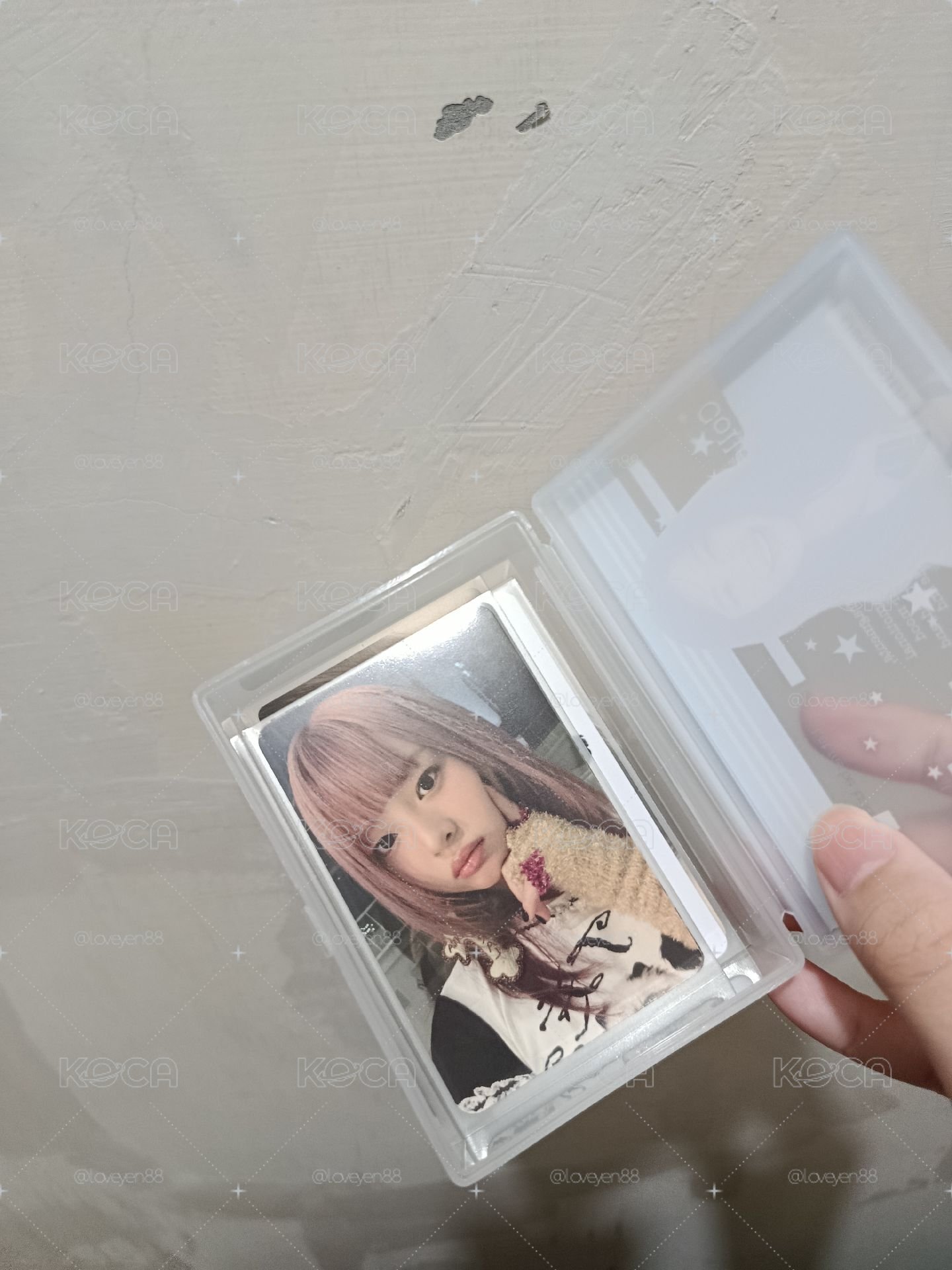 蝦皮哈尼