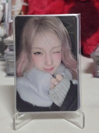 琦