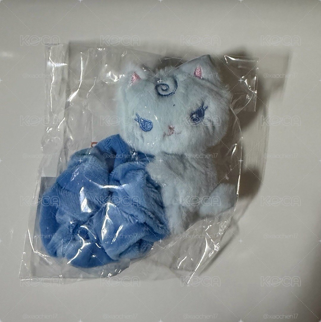 現貨全新 二巡安可髮圈 柚