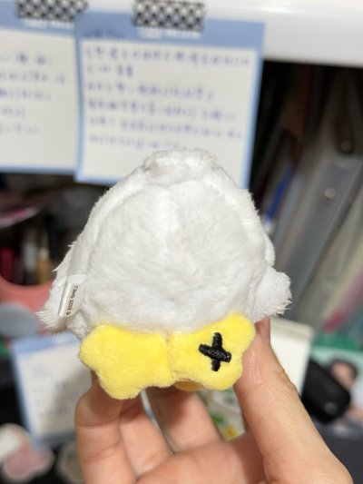 SJ 日周娃 利特 特鴨鴨