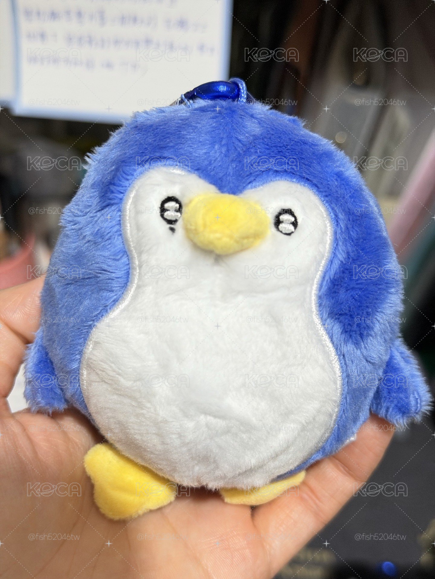 SJ 日周娃 KRY 圭賢 厲旭 藝聲 🐧🦒🐈‍⬛