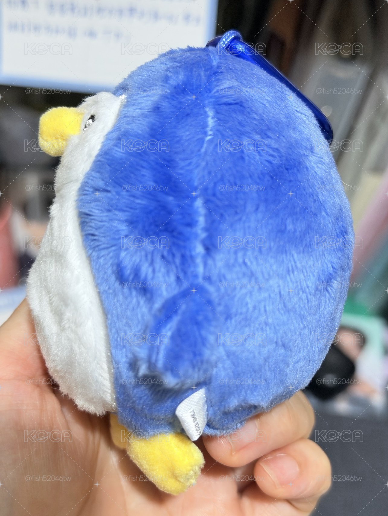 SJ 日周娃 KRY 圭賢 厲旭 藝聲 🐧🦒🐈‍⬛