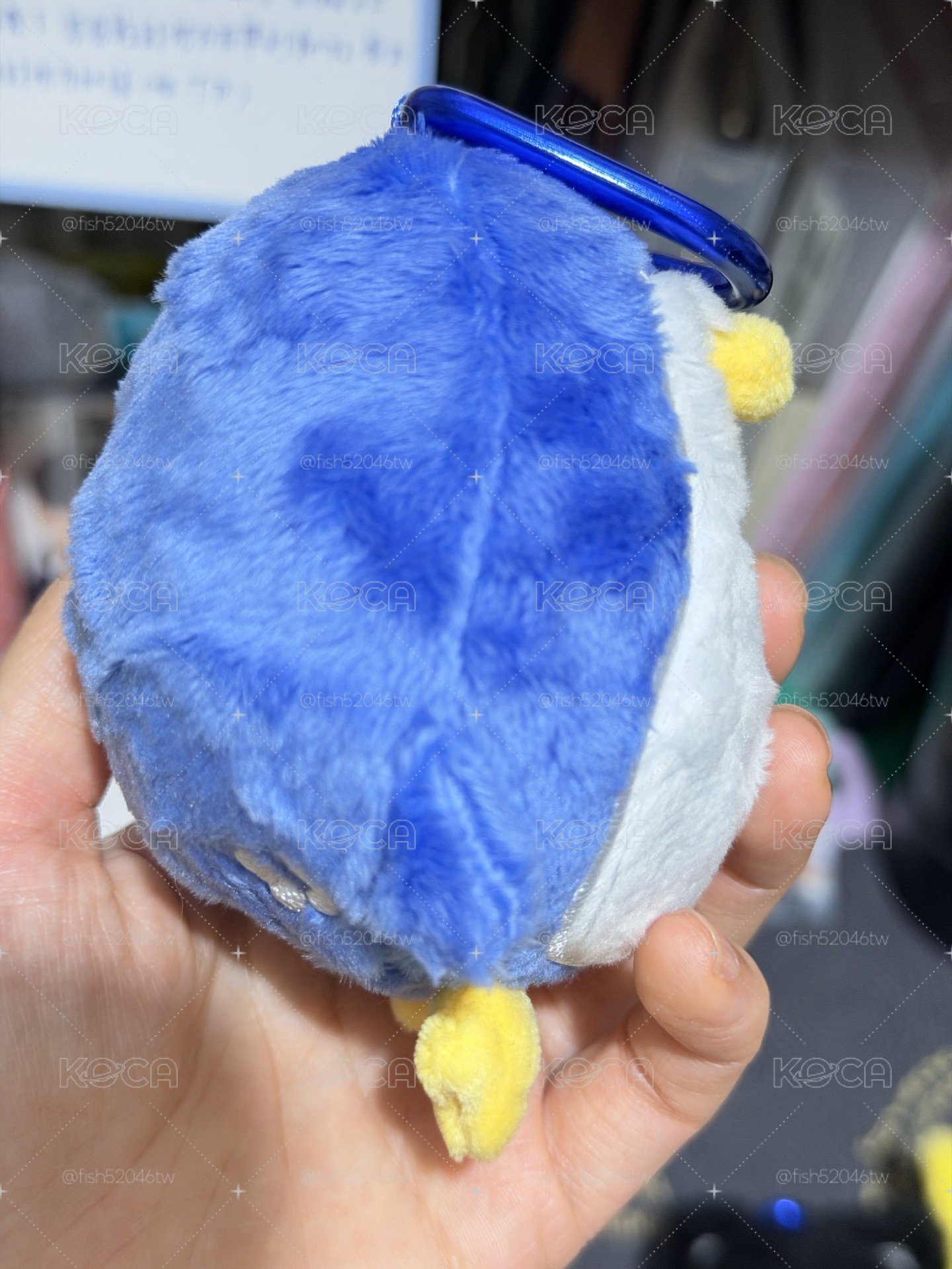 SJ 日周娃 KRY 圭賢 厲旭 藝聲 🐧🦒🐈‍⬛