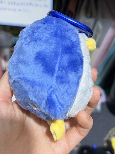 SJ 日周娃 KRY 圭賢 厲旭 藝聲 🐧🦒🐈‍⬛