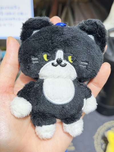 SJ 日周娃 KRY 圭賢 厲旭 藝聲 🐧🦒🐈‍⬛
