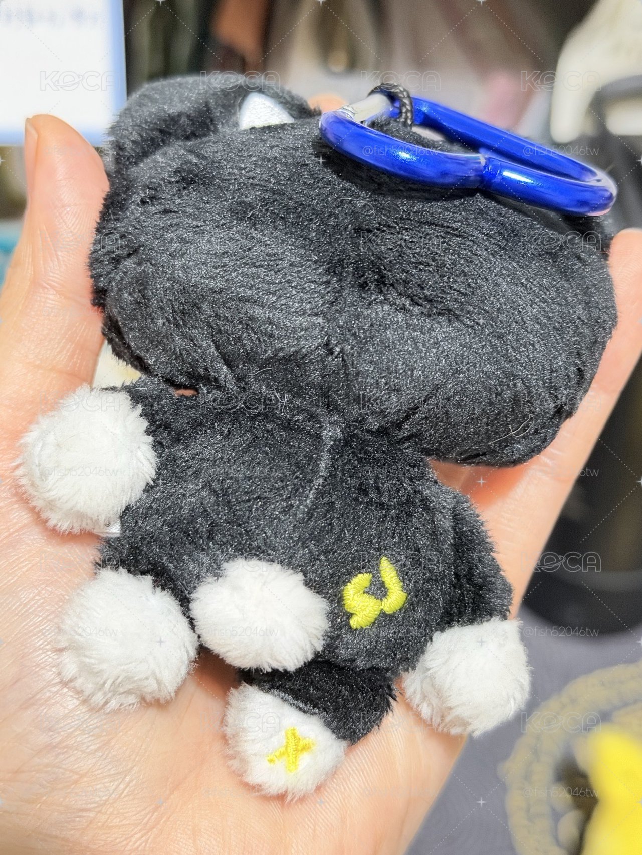 SJ 日周娃 KRY 圭賢 厲旭 藝聲 🐧🦒🐈‍⬛