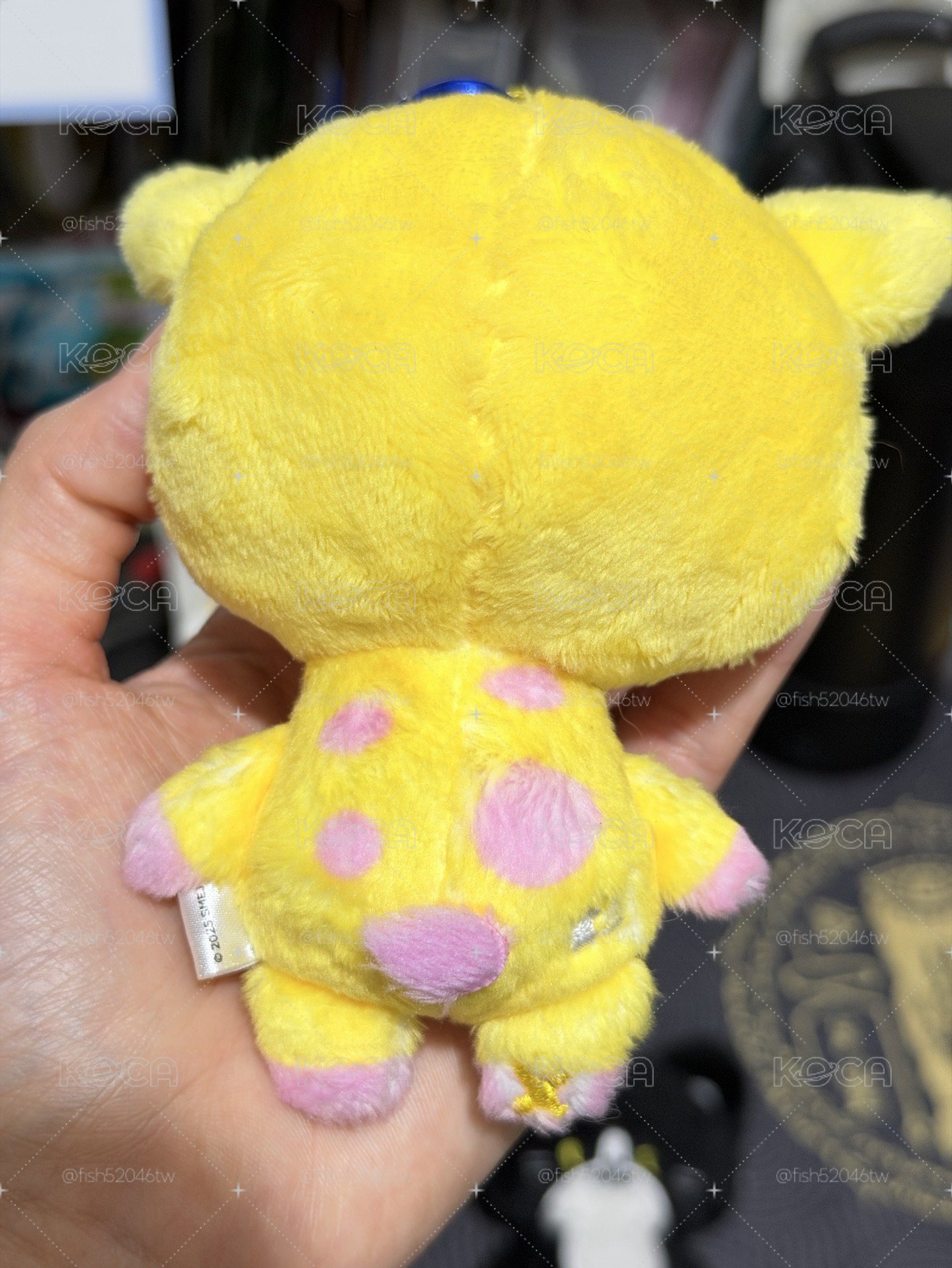 SJ 日周娃 KRY 圭賢 厲旭 藝聲 🐧🦒🐈‍⬛