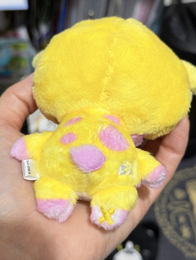 SJ 日周娃 KRY 圭賢 厲旭 藝聲 🐧🦒🐈‍⬛