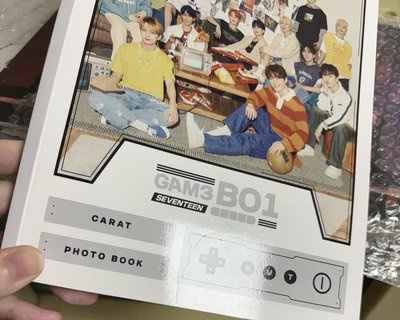 17寫真書