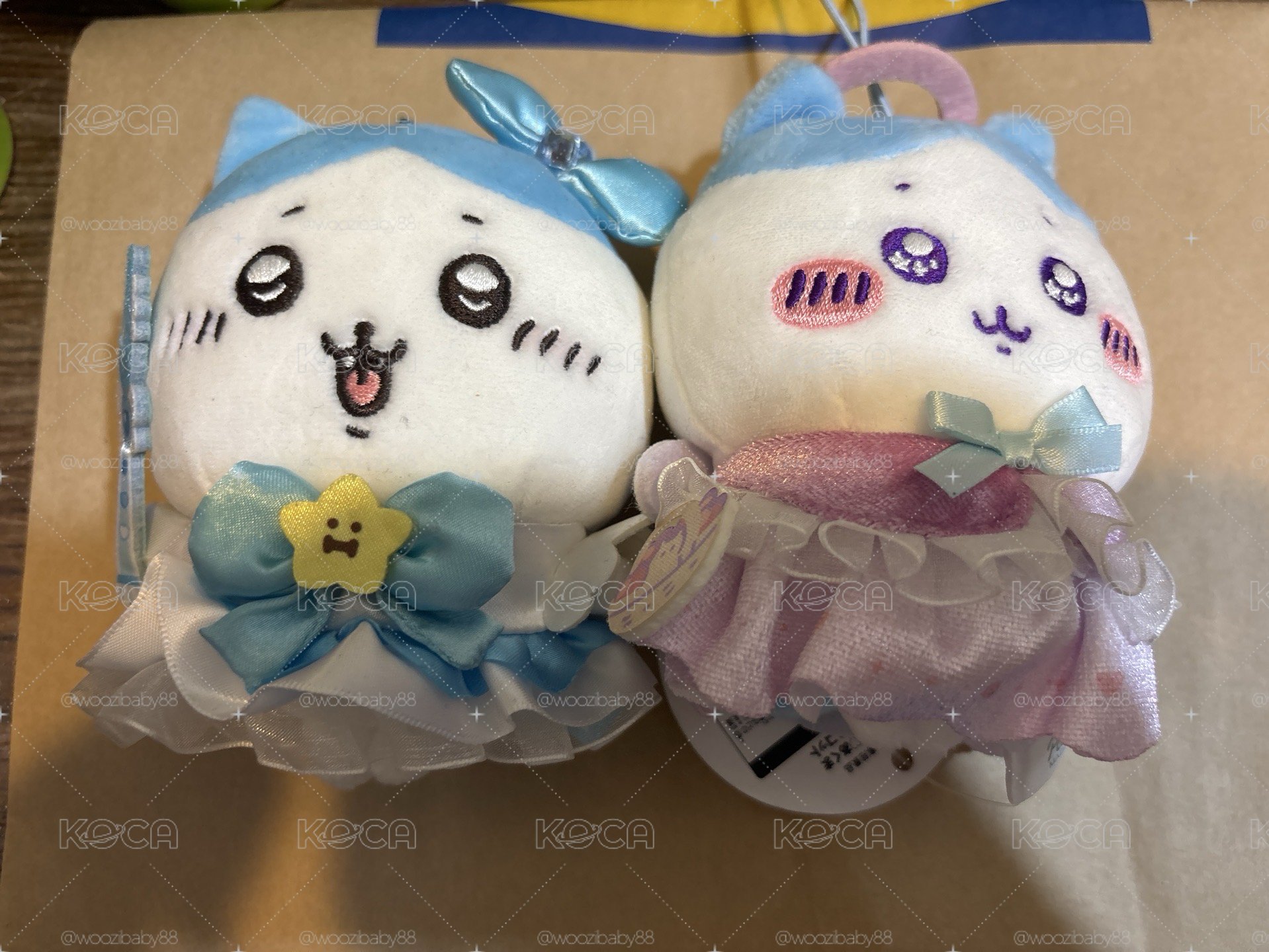 小八們‼️