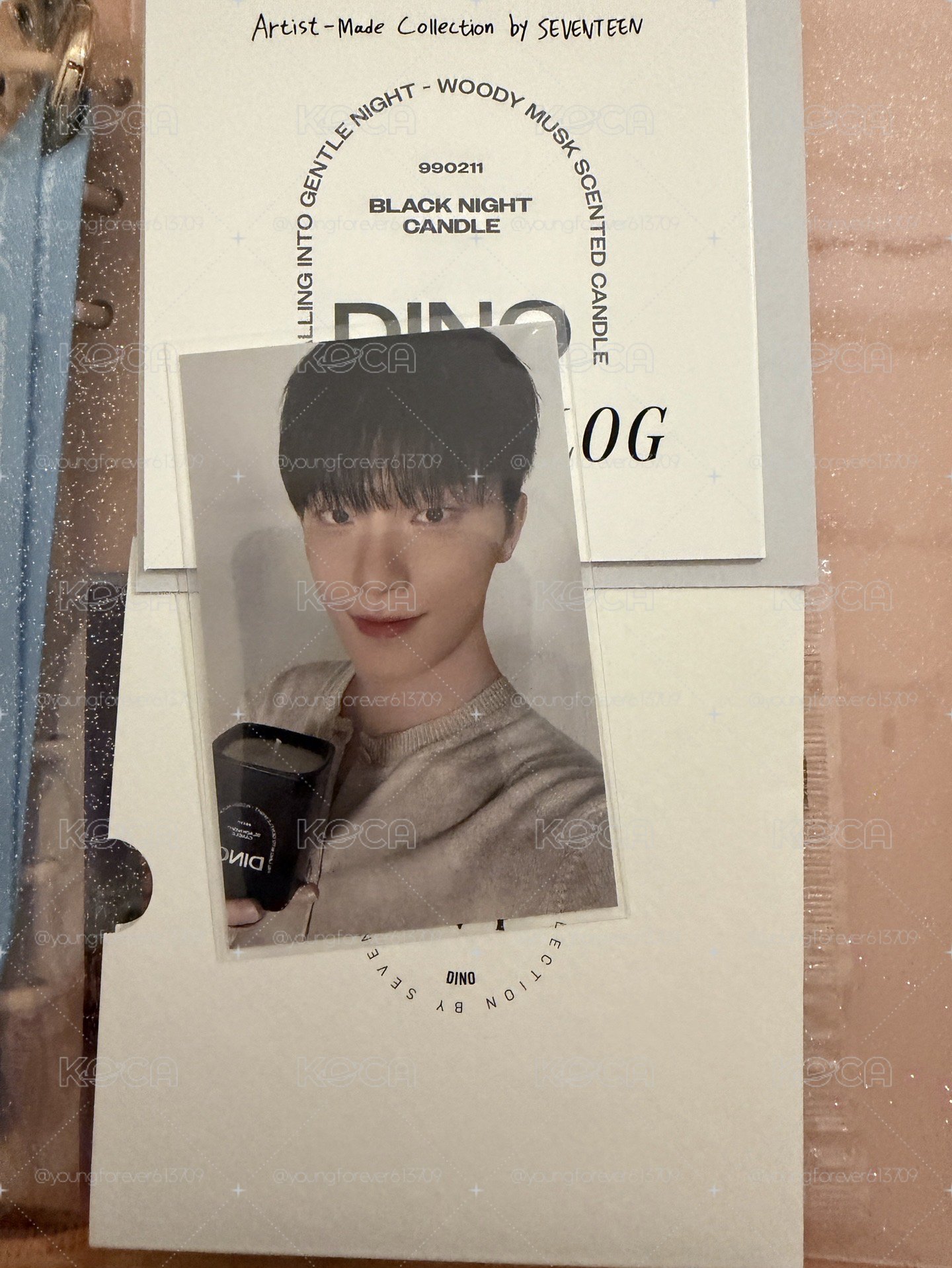 SEVENTEEN DINO成員自製商品 小卡明信片