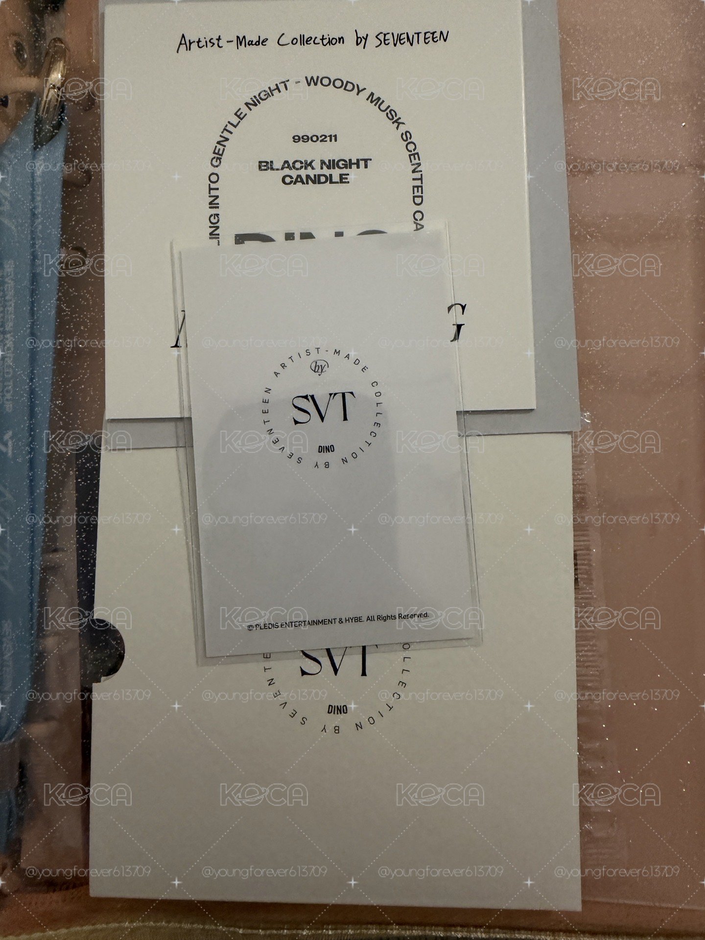 SEVENTEEN DINO成員自製商品 小卡明信片