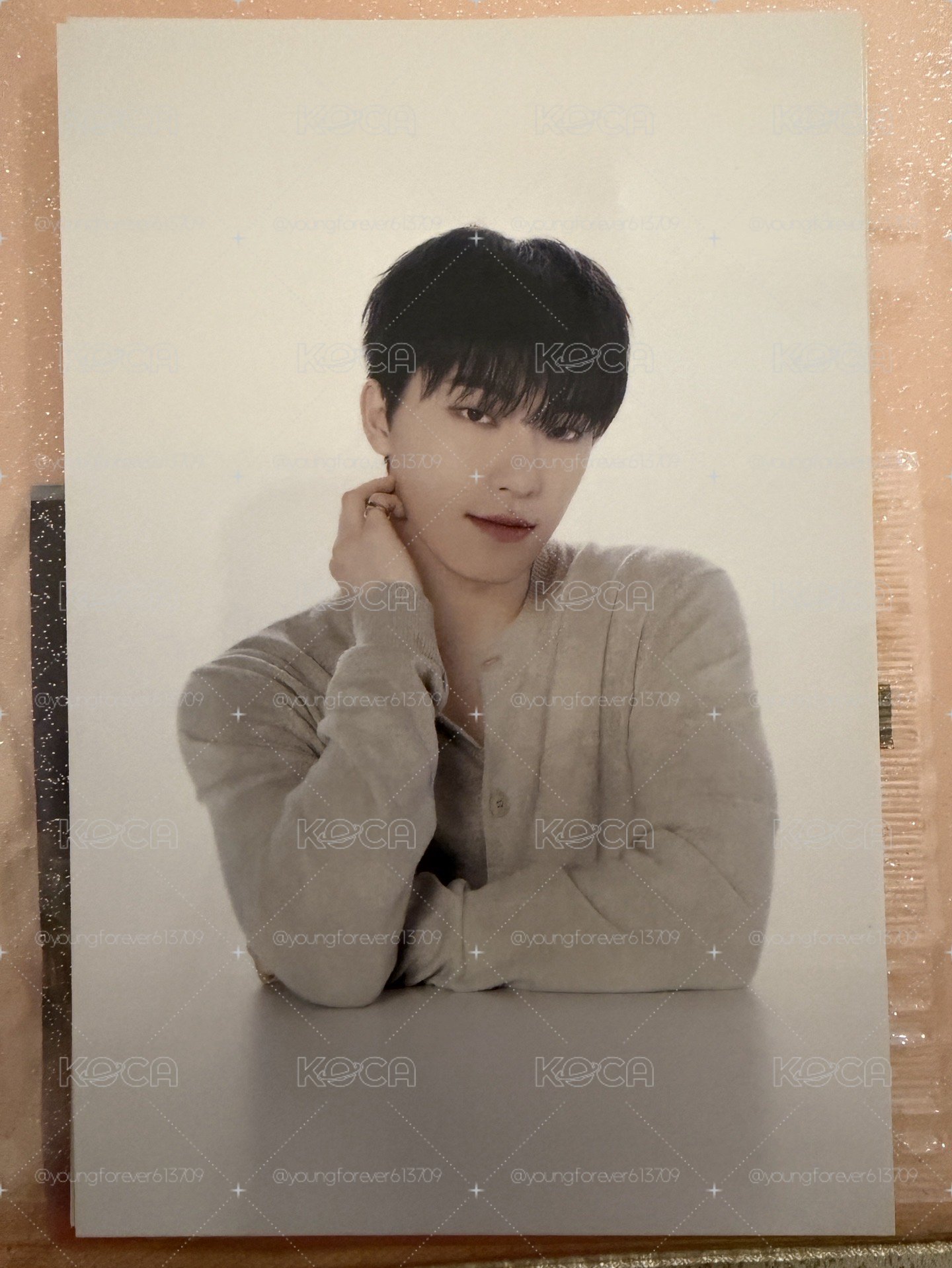 SEVENTEEN DINO成員自製商品 小卡明信片