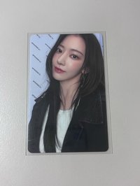 wvs預售（全收送）