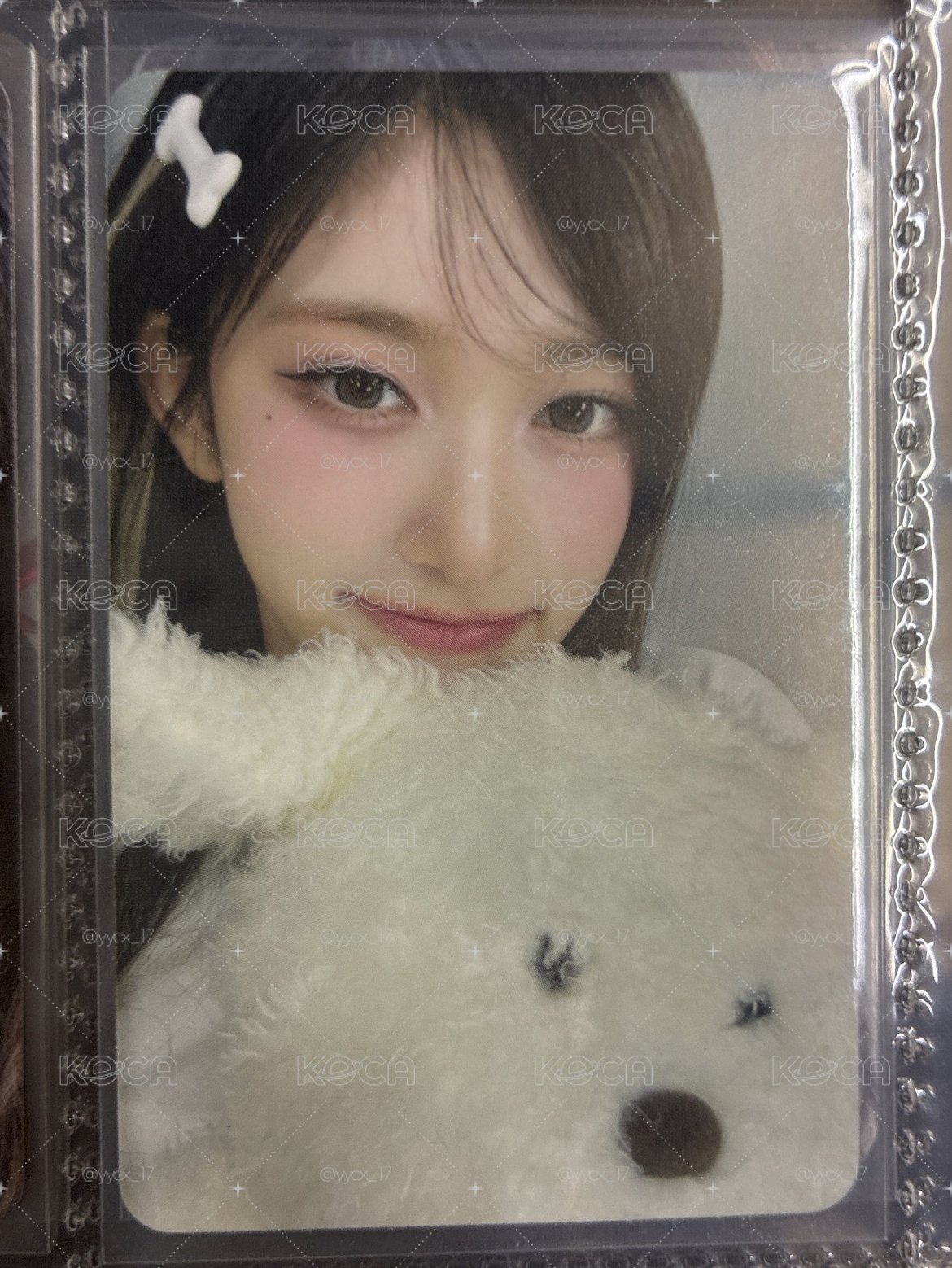 狗狗瑞