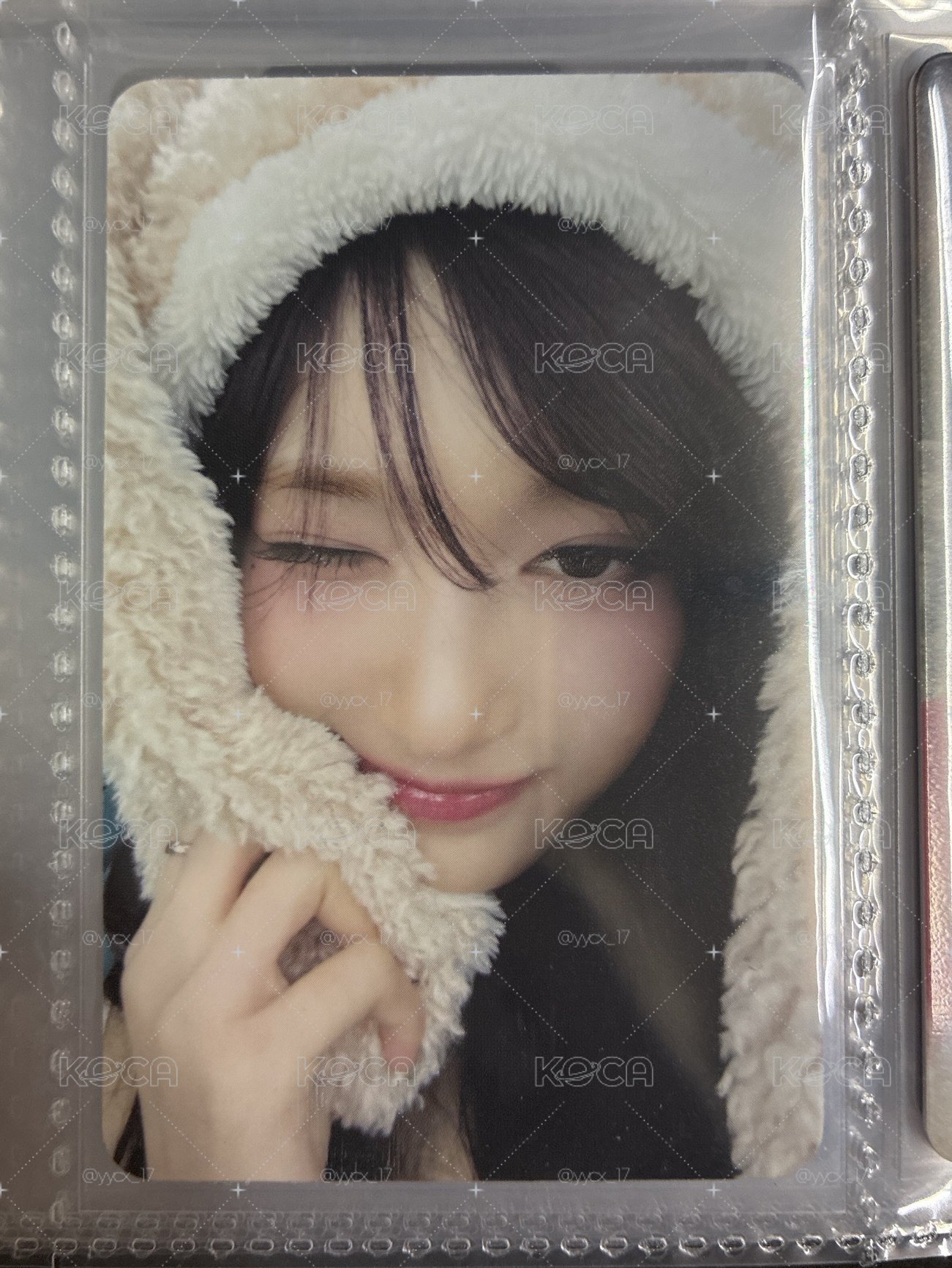 BR兔子瑞