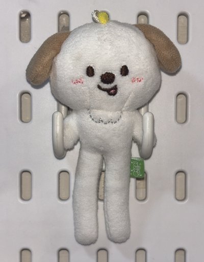 長腿狗龍