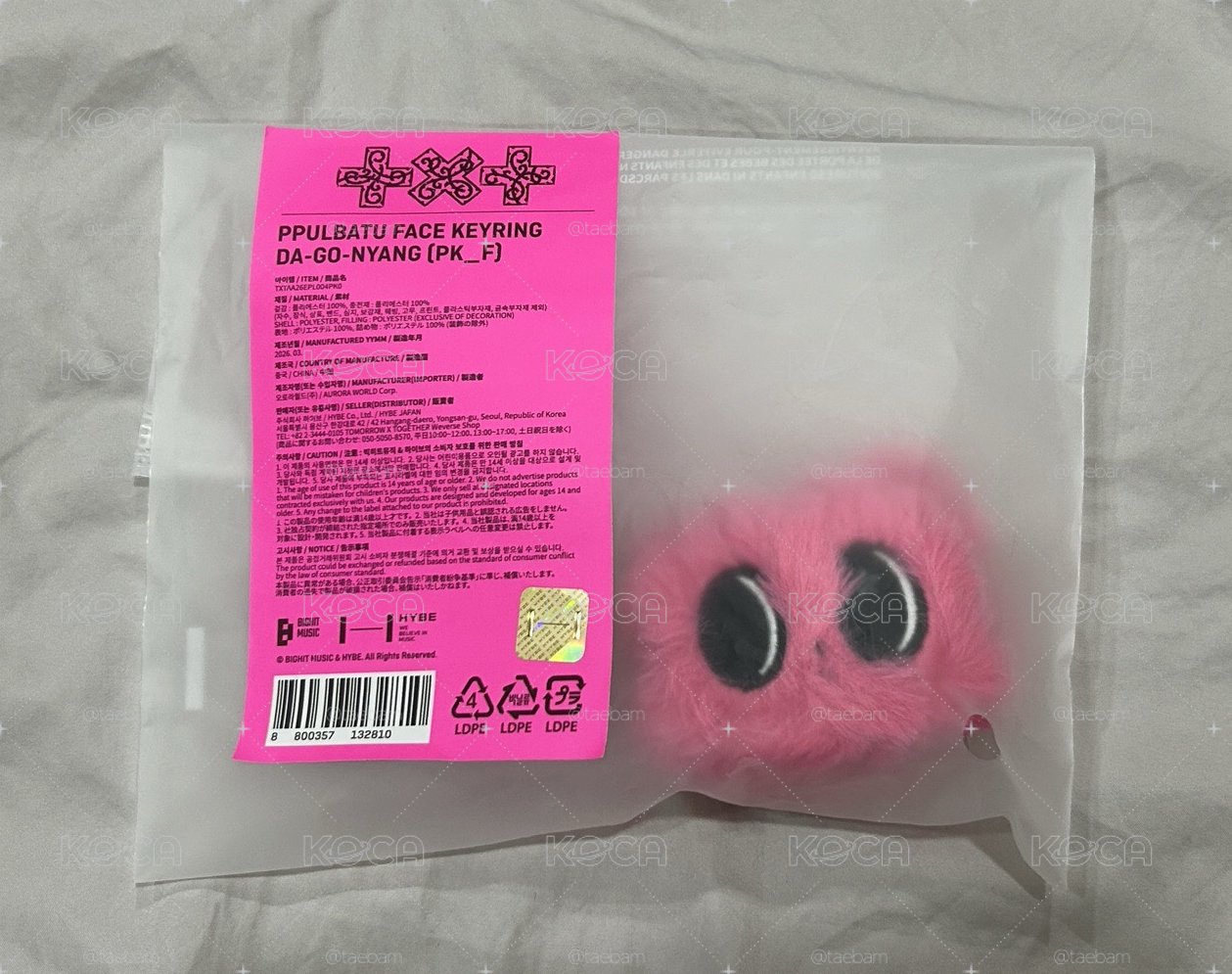 火龍果松喵