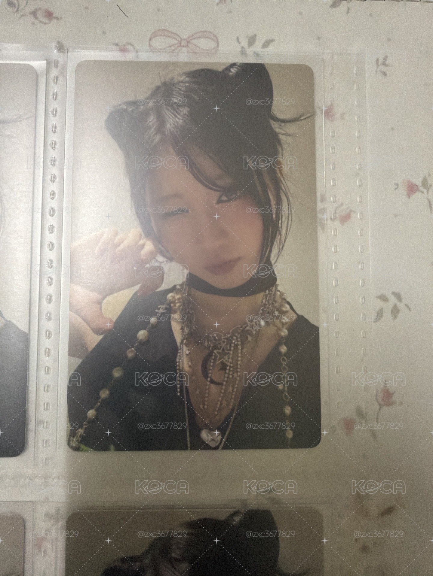 貓咪紗紗
