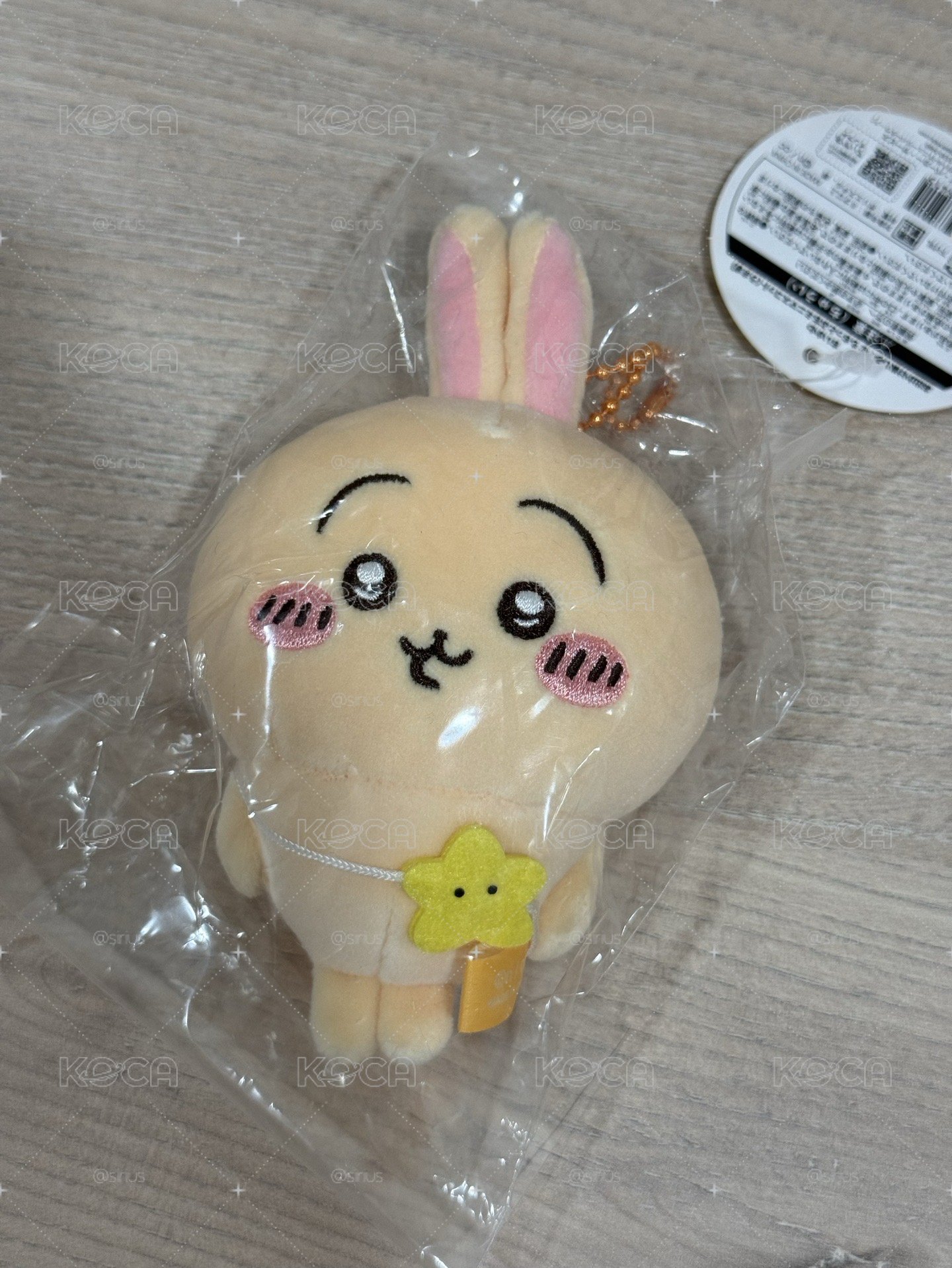 出遊烏薩奇