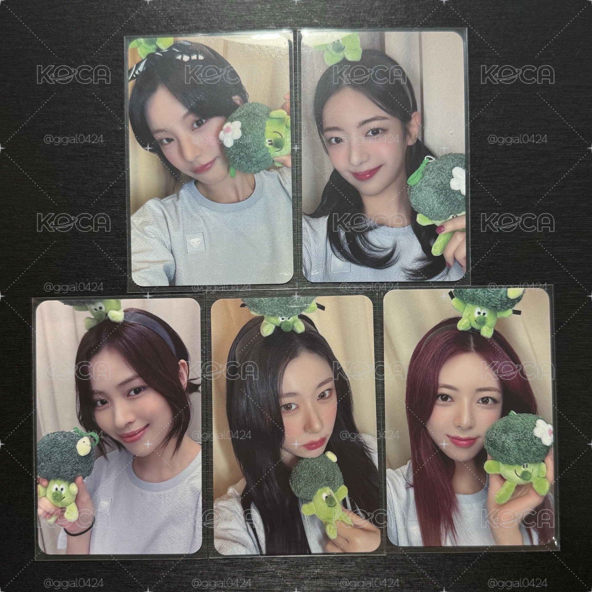 ITZY GWBG MS花椰菜