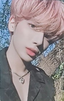 顯專卡