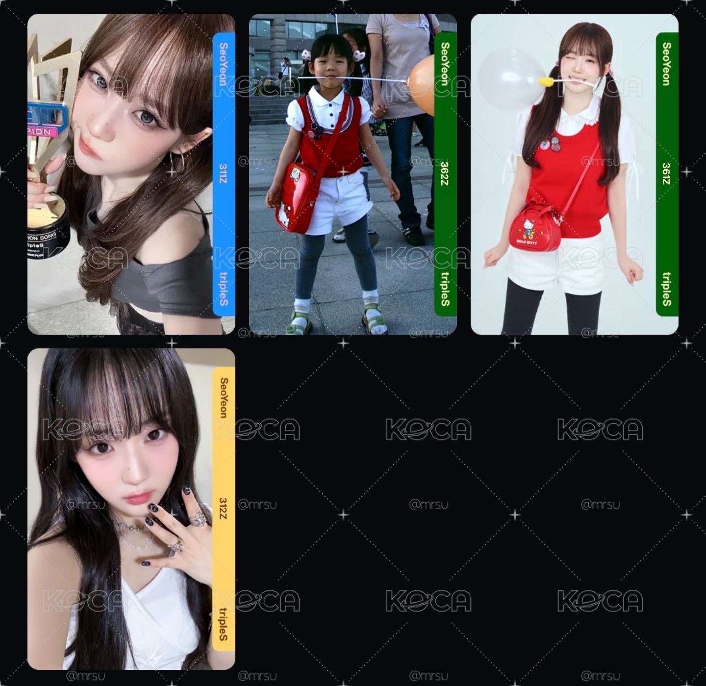 s1 s3 s5電子卡
