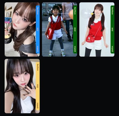 s1 s3 s5電子卡