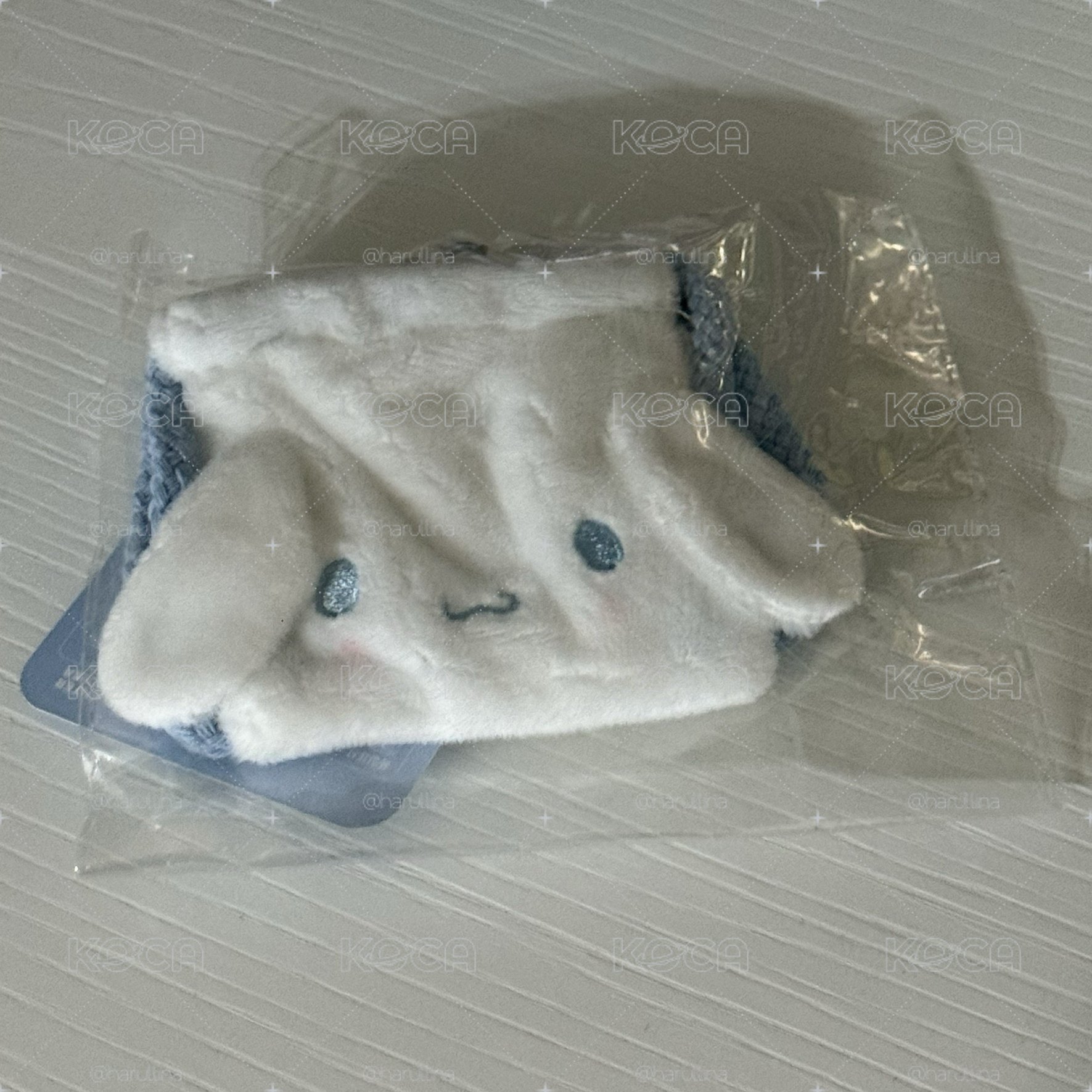 大耳狗
