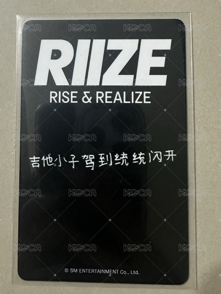 白毛衣中卡背