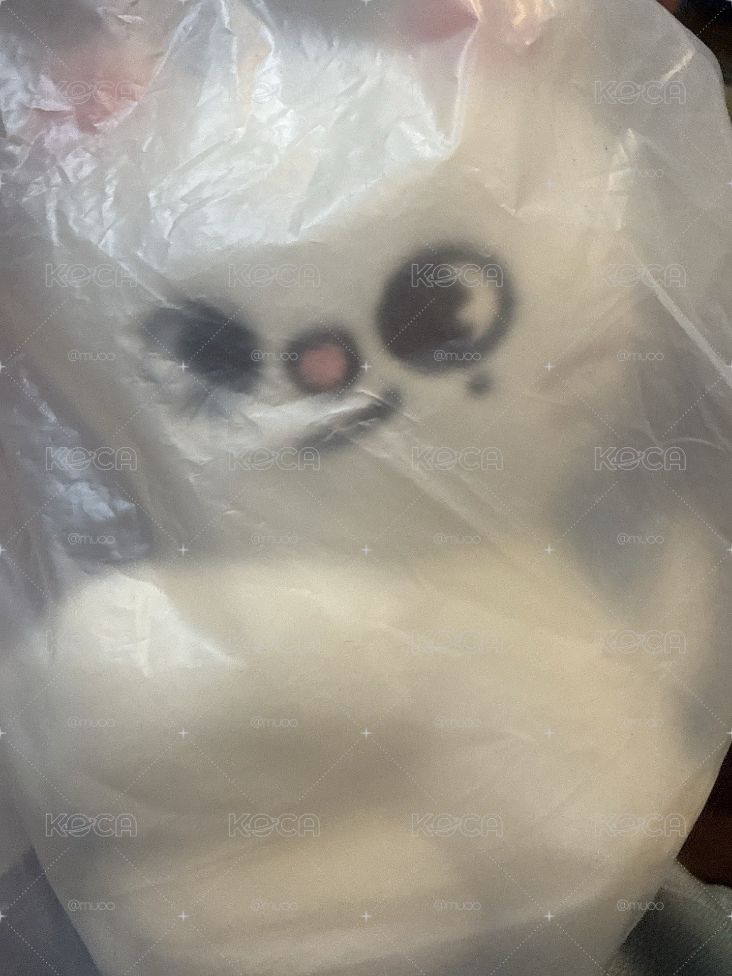 辰 可以掛手燈可以掛包包背帶的娃 （全新未拆現貨）