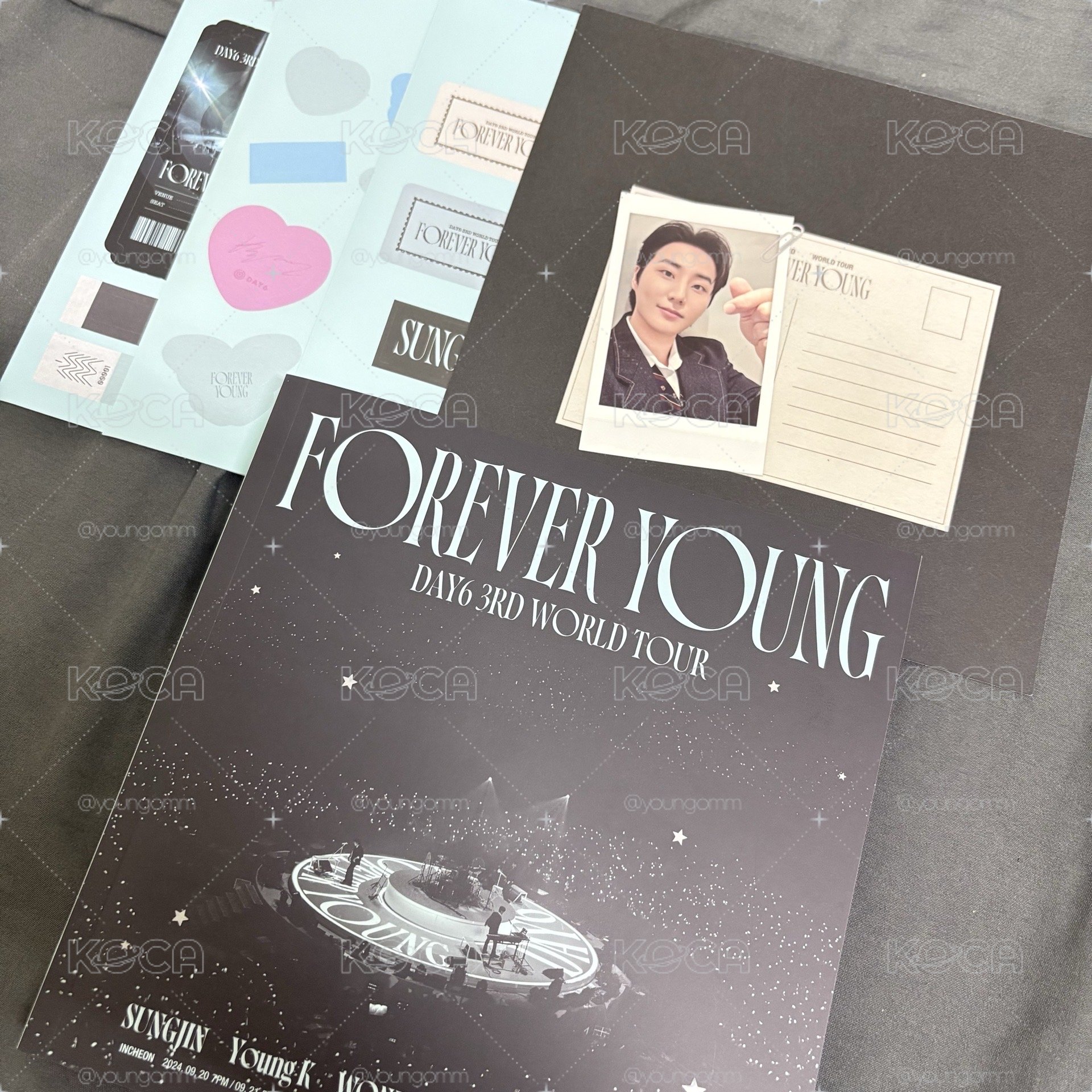🍀FY DVD（僅寫真本、貼紙、🐻🦊隔板、外盒）